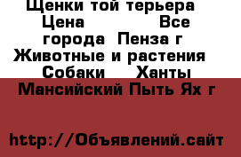 Щенки той терьера › Цена ­ 10 000 - Все города, Пенза г. Животные и растения » Собаки   . Ханты-Мансийский,Пыть-Ях г.